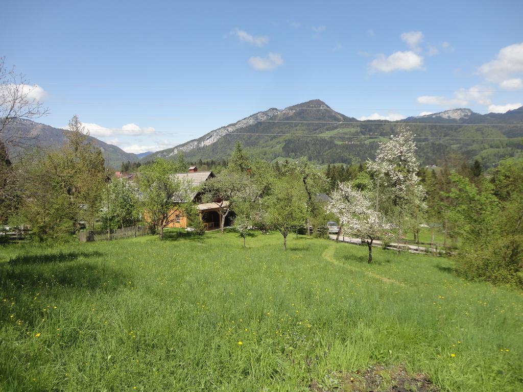 Ferienhaus Ramsau 8 Bad Goisern am Hallstättersee Exterior foto