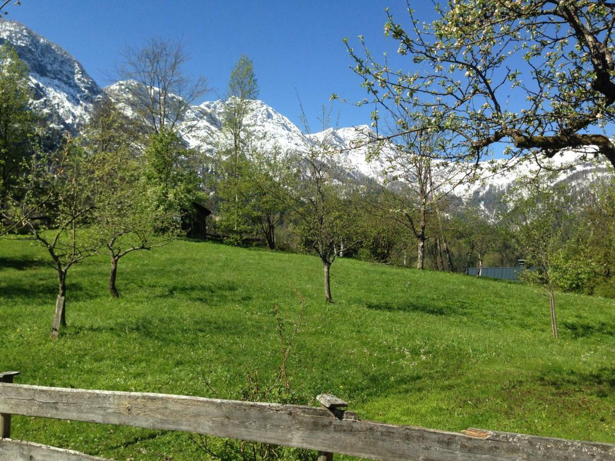 Ferienhaus Ramsau 8 Bad Goisern am Hallstättersee Exterior foto